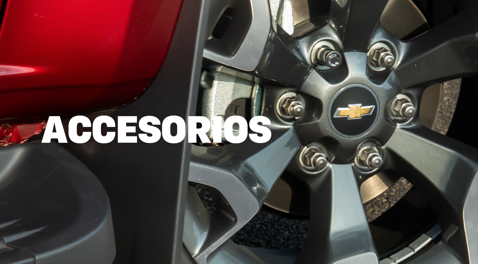 Lee más sobre el artículo Accesorios